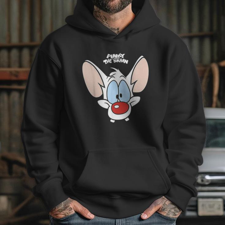 Pinky And The Brain Pinky Big Face Hoodie Gifts for Her