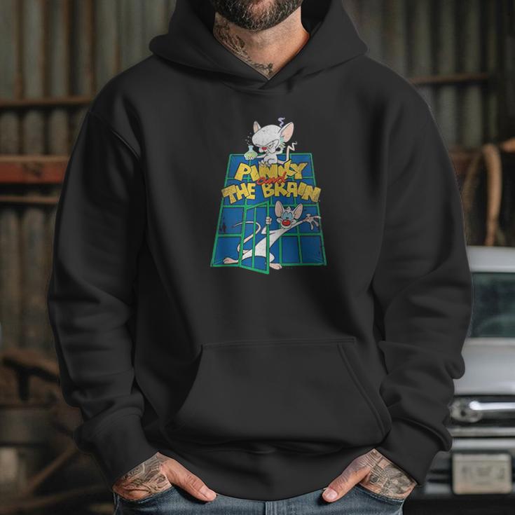 Pinky And The Brain Ol Standard Hoodie Gifts for Her