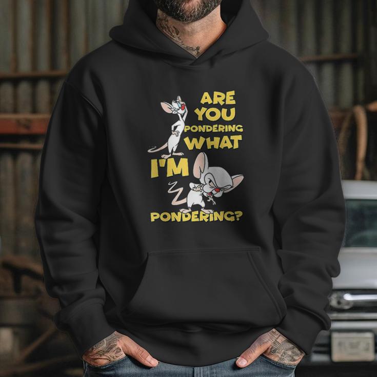 Pinky And The Brain Pondering Hoodie Gifts for Her