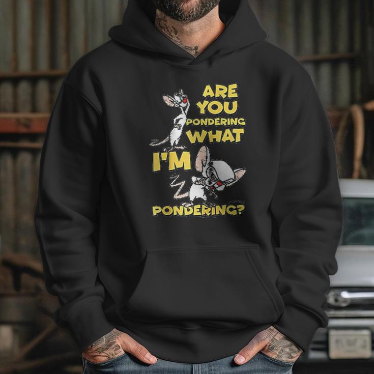 Pinky And The Brain Pondering Hoodie Gifts for Her