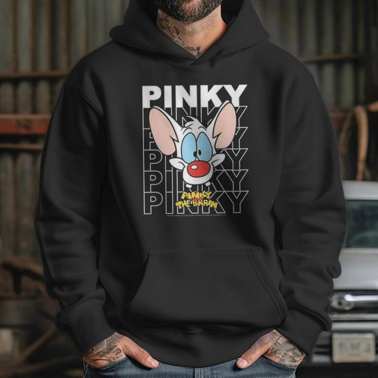 Pinky And The Brain Pinky Text Stack Big Face Hoodie Gifts for Her