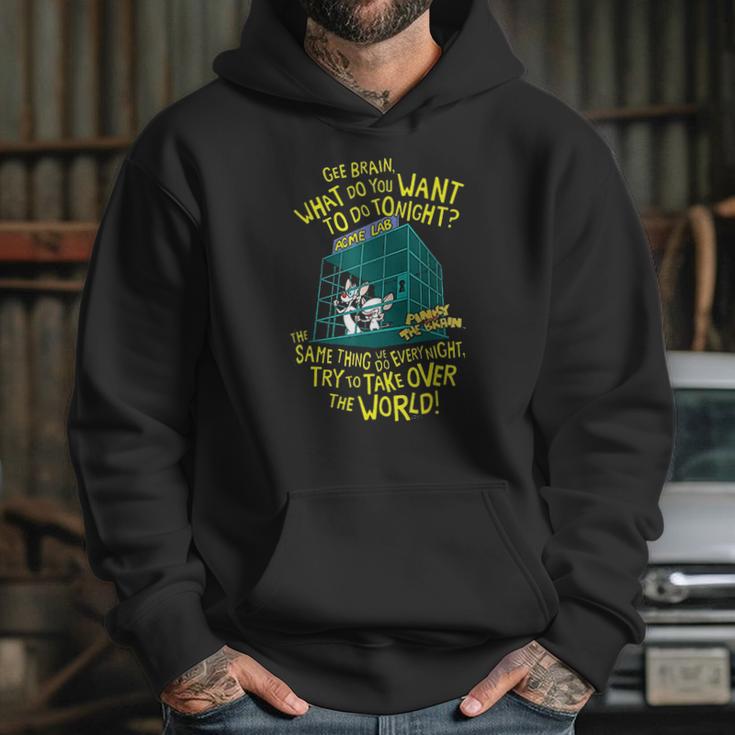 Pinky And The Brain What To Do Tonight Hoodie Gifts for Her