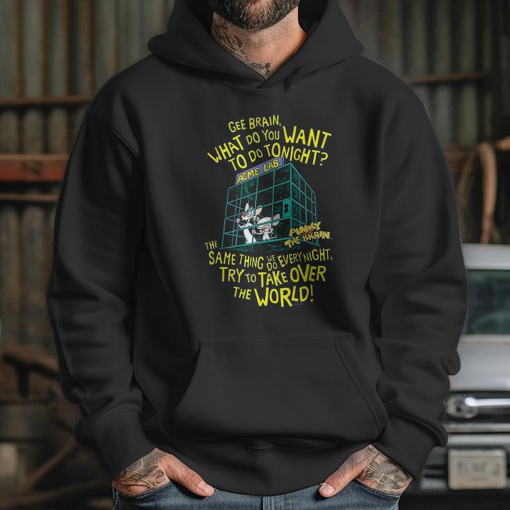 Pinky And The Brain The World Hoodie Gifts for Her