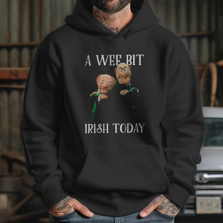 St Patricks Day Gift Irish Day Statler And Waldorf A Wee Bit Irish Today Funny Hoodie Gifts for Her