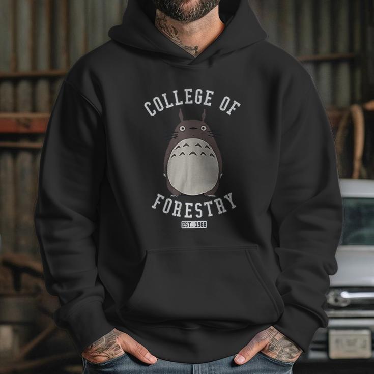 Stoned Totoro College Of Forestry Studio Hoodie Gifts for Her