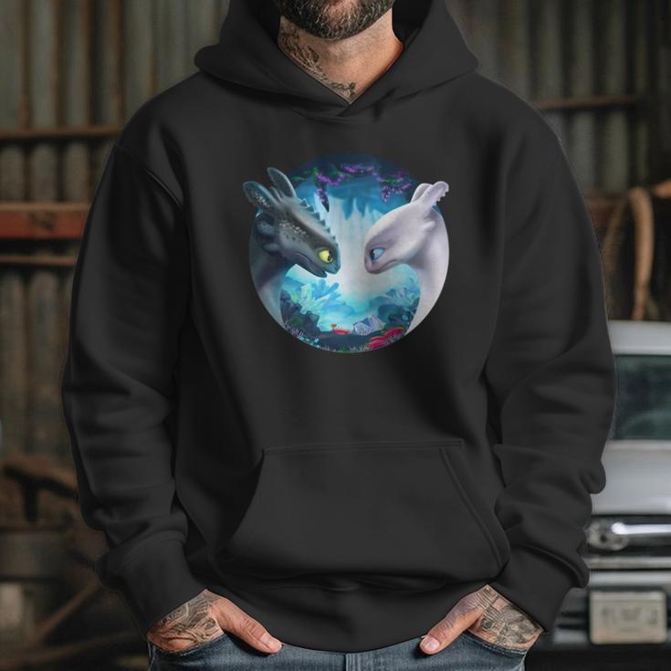 Toothless And Light Fury Hoodie Gifts for Her