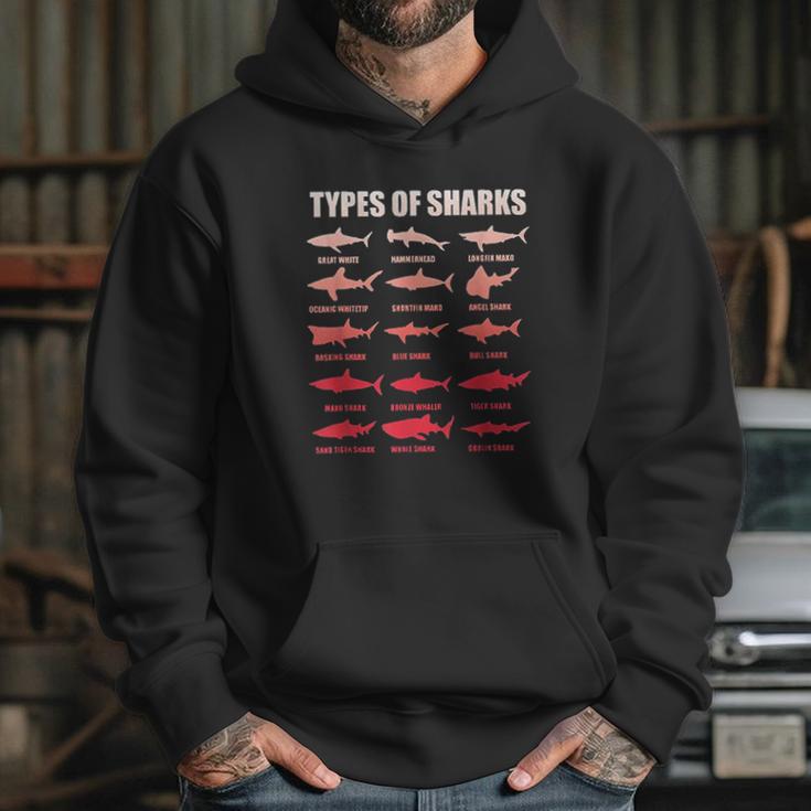 Types Of Sharks 15 Great White Hammerhead Marine Bio Hoodie Gifts for Her