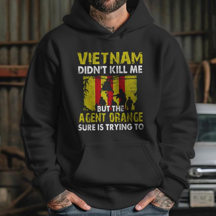 Vietnam Didnt Kill Me But The Agent Is Trying Aesthetic Gift 2022 Hoodie Gifts for Her