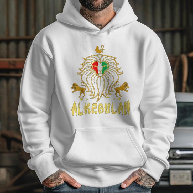 African Lion Rbg Ankh Alkebulan Kemetic Hoodie Gifts for Her