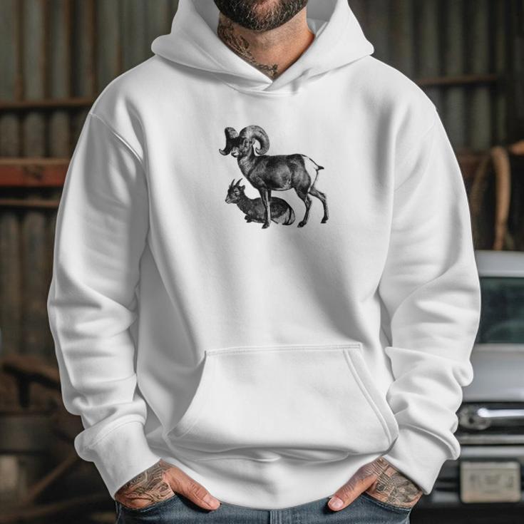 Majestic Bighorn Sheep Print Hoodie Gifts for Her