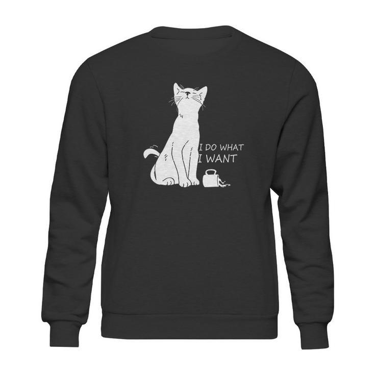 Hisayhe Funny Cat Do What I Want Cat Personality Graphic Sweatshirt