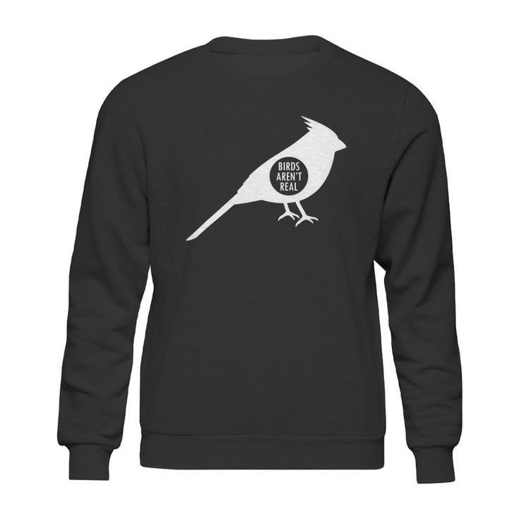 Birds Aren Real Slogan Sweatshirt