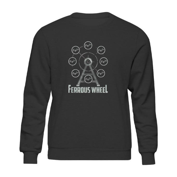 Neil Degrasse Tyson Ferrous Wheel Sweatshirt