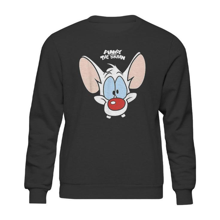 Pinky And The Brain Pinky Big Face Sweatshirt