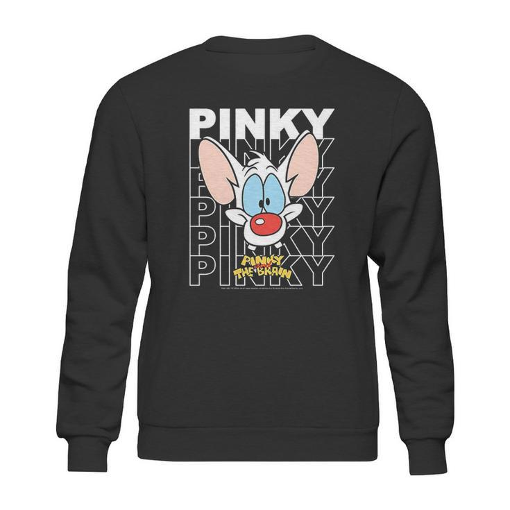 Pinky And The Brain Pinky Text Stack Big Face Sweatshirt