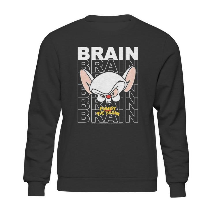 Pinky And The Brain Text Stack Big Face Sweatshirt