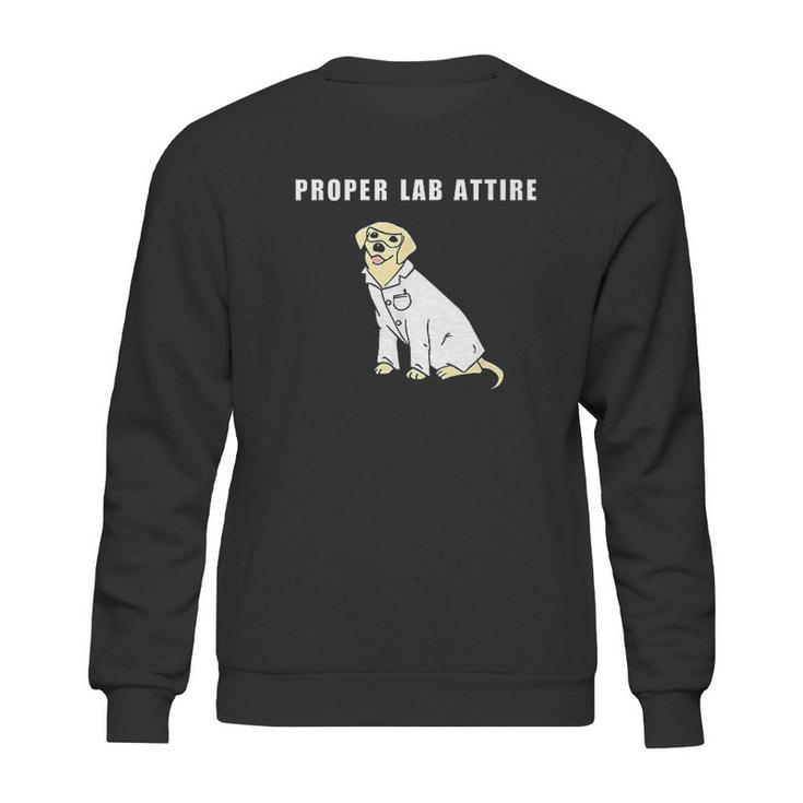 Proper Lab Attire Funny Laboratory Dog Pun Science Sweatshirt