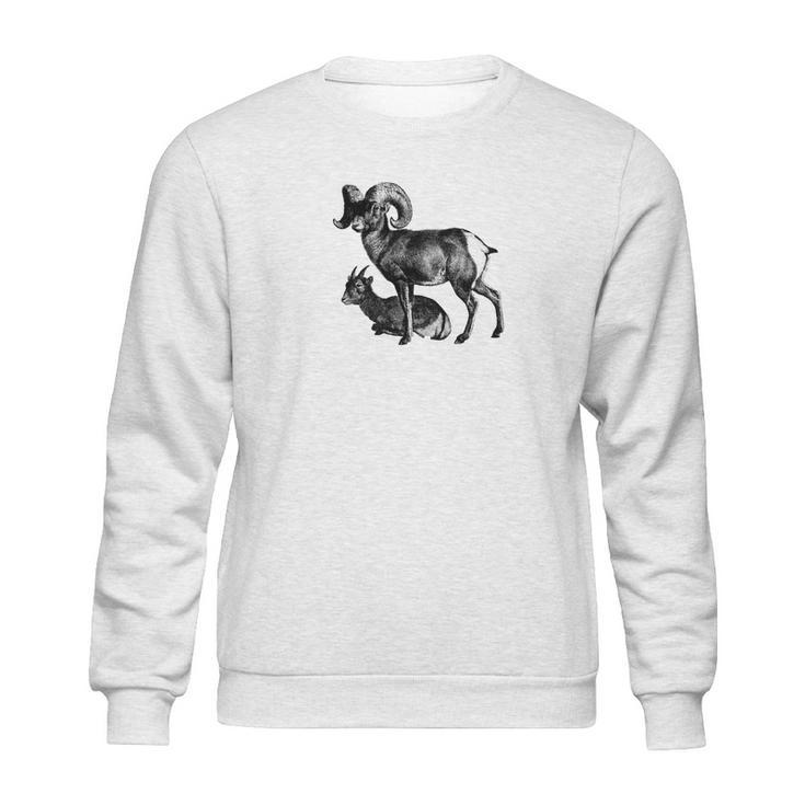 Majestic Bighorn Sheep Print Sweatshirt