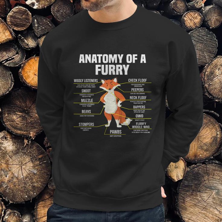 Anatomy Of A Furry Fandom Furries Cute Sweet Funny Sweatshirt Gifts for Him