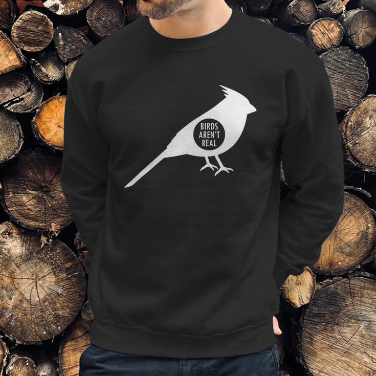 Birds Aren Real Slogan Sweatshirt Gifts for Him