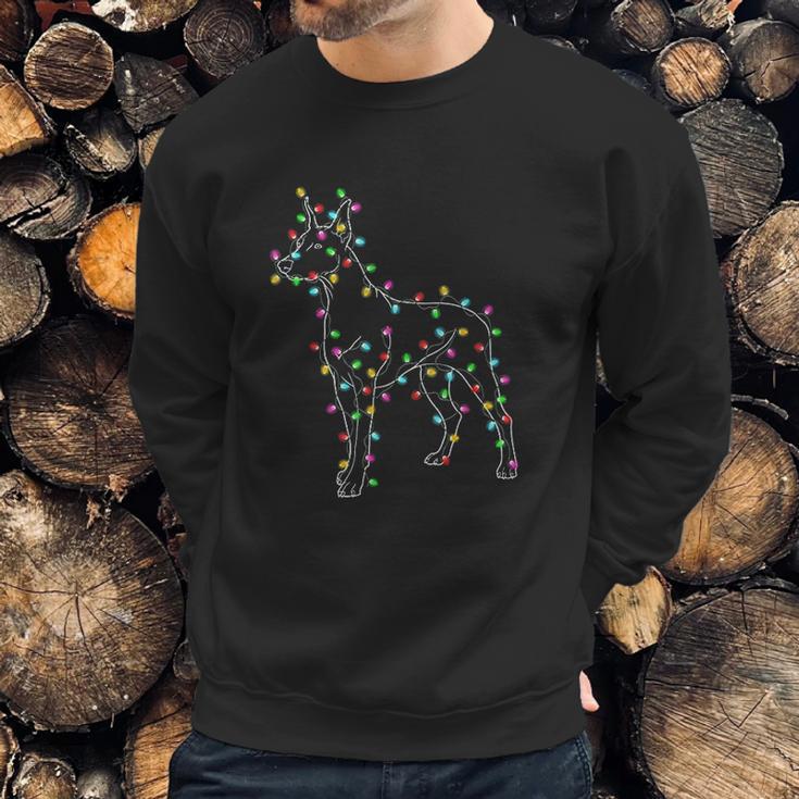 Doberman Pinscher Dogs Sweatshirt Gifts for Him