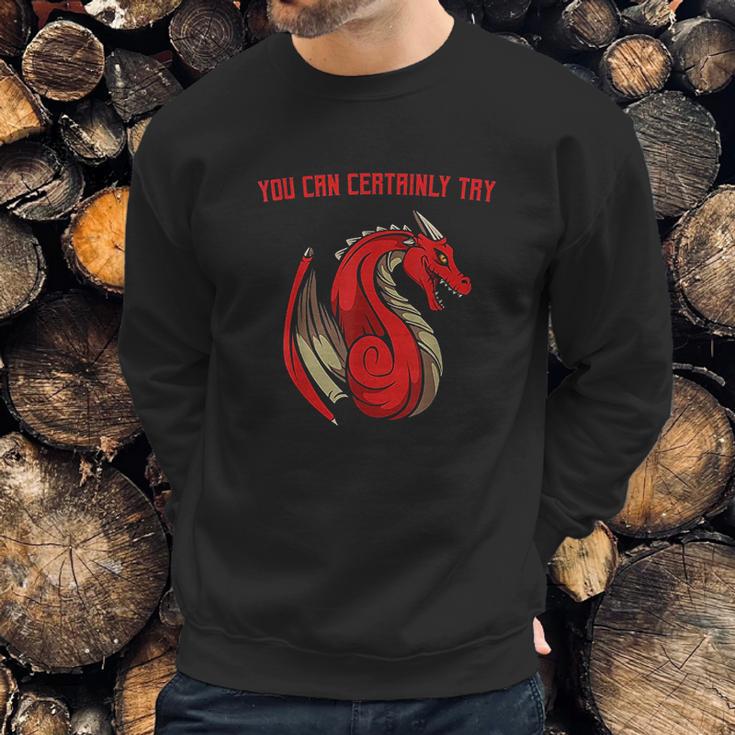 Dragon Fire You Can Certainly Try Dungeons Master Sweatshirt Gifts for Him