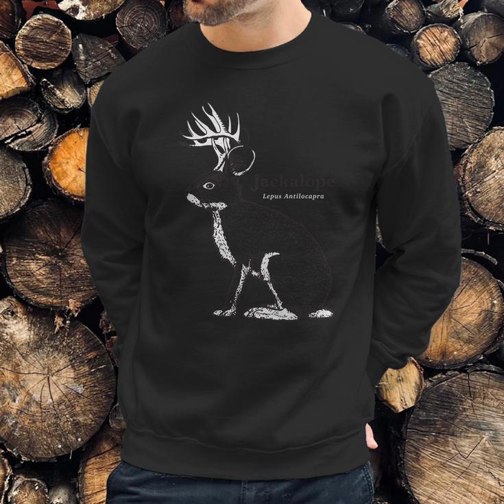 Jackalope Folklore Cryptozoology Jackrabbit Sweatshirt Gifts for Him