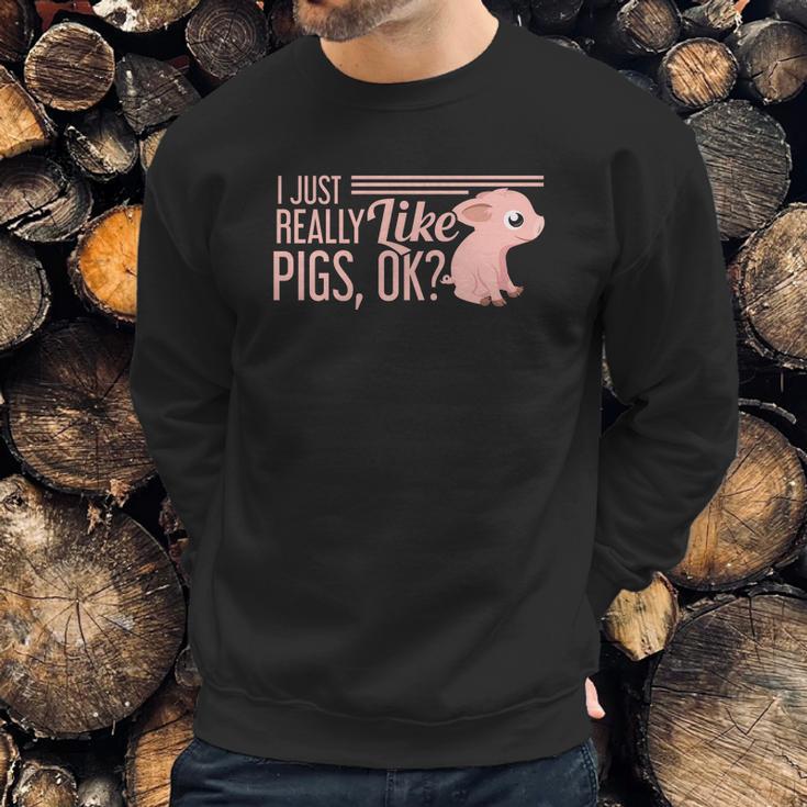 I Just Really Like Pigs Ok Ladies Men Teenagers Cute Tees Sweatshirt Gifts for Him