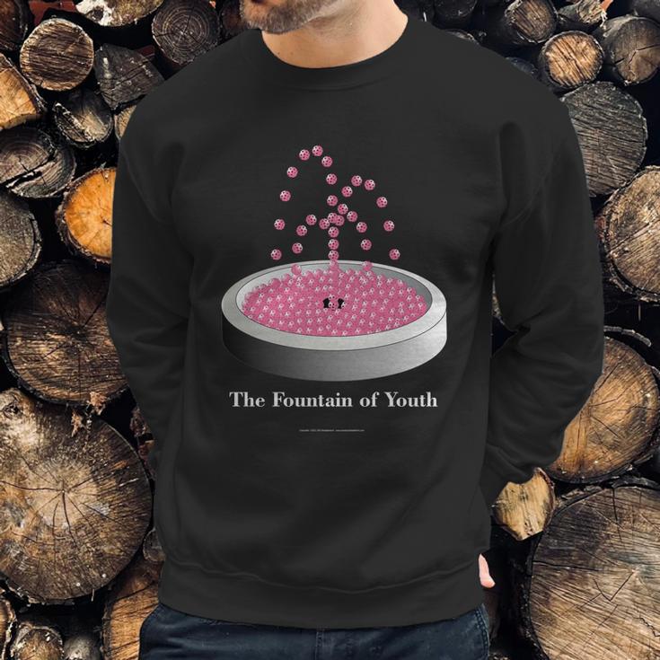 Pickleball Fountain Pink Sweatshirt Gifts for Him