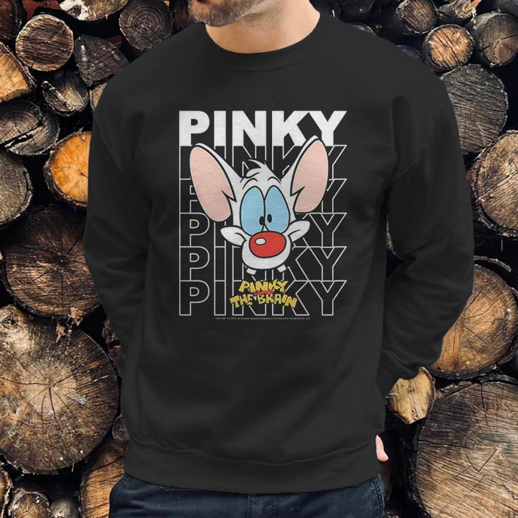 Pinky And The Brain Pinky Text Stack Big Face Sweatshirt Gifts for Him