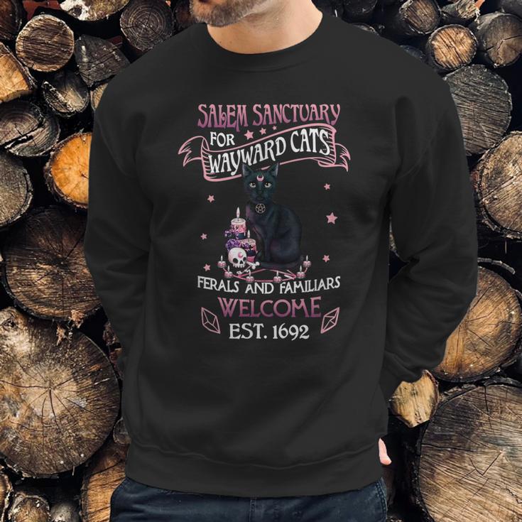 Salem Sanctuary For Wayward Cats Feral And Familiar Sweatshirt Gifts for Him