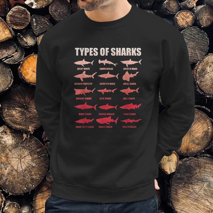 Types Of Sharks 15 Great White Hammerhead Marine Bio Sweatshirt Gifts for Him