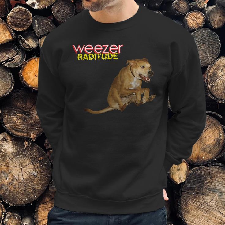 Weezer Raditude Sweatshirt Gifts for Him