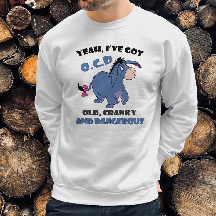 Eeyore Yeah Ive Got Old Cranky And Dangerous Shirt Sweatshirt Gifts for Him