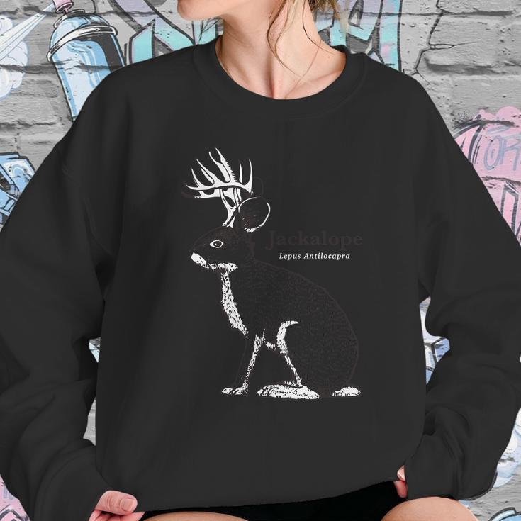 Jackalope Folklore Cryptozoology Jackrabbit Sweatshirt Gifts for Her