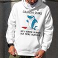 Grandpa Gift Grandpa Shark Like A Normal Grandpa But More Awesome Men Hoodie