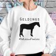 Horse Geldings Ballless And Flawless Women Sweatshirt Gifts for Her