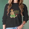 Adios Bitchachos Mexican Cinco De Mayo Sloth Turtle Women Long Sleeve Tshirt