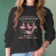 We Are More Than Just Certified Medication Assistant Friends We Are Like A Really Small Gang Flamingo Nursing Job Women Long Sleeve Tshirt