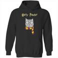 Harry Pawter Funny Magic Cat With Glasses Gift Hoodie