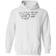 In My Past Life I Was A Cat Cat Lovers Hoodie