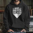 Make America Crip Again C Lims Day Snoop Dog Blue Hoodie Gifts for Her