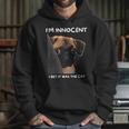 Im Innocent I Bet It Was The Cat Funny Guilty Cute Pug Hoodie Gifts for Her