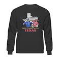 Dont Mess With Texas Sweatshirt