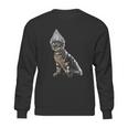 Funny Halloween Cat Tin Foil Hat Conspiracy For Men Sweatshirt