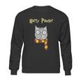 Harry Pawter Funny Magic Cat With Glasses Gift Sweatshirt