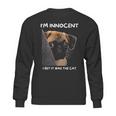 Im Innocent I Bet It Was The Cat Funny Guilty Cute Pug Sweatshirt