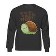 This Tiny Turtle He Judges You Immensely Sweatshirt