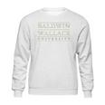 Baldwin Wallace University Yellow Jackets Sweatshirt