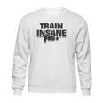 Train Insane Us Navy Seal Team Sweatshirt